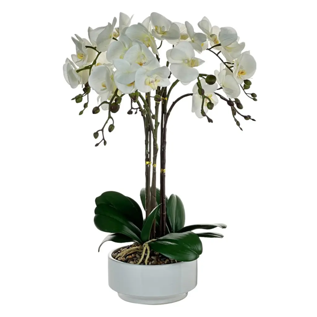 Orquídea blanca con macetero DECO-55388