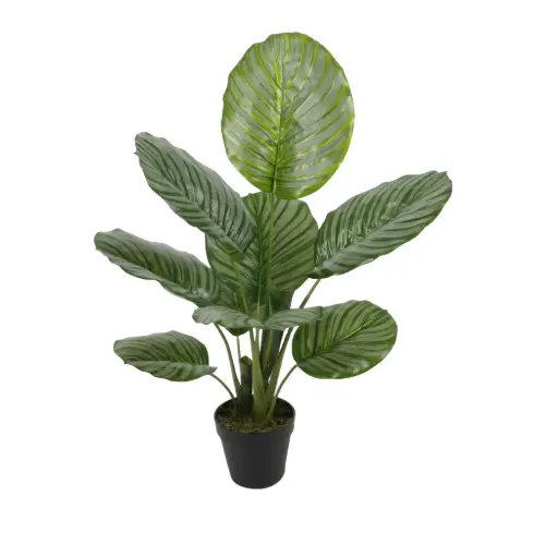 [DECO-400037] Planta con recipiente DECO-400037