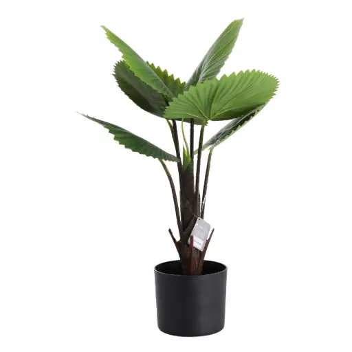 [DECO-143401] Planta con recipiente DECO-143401 